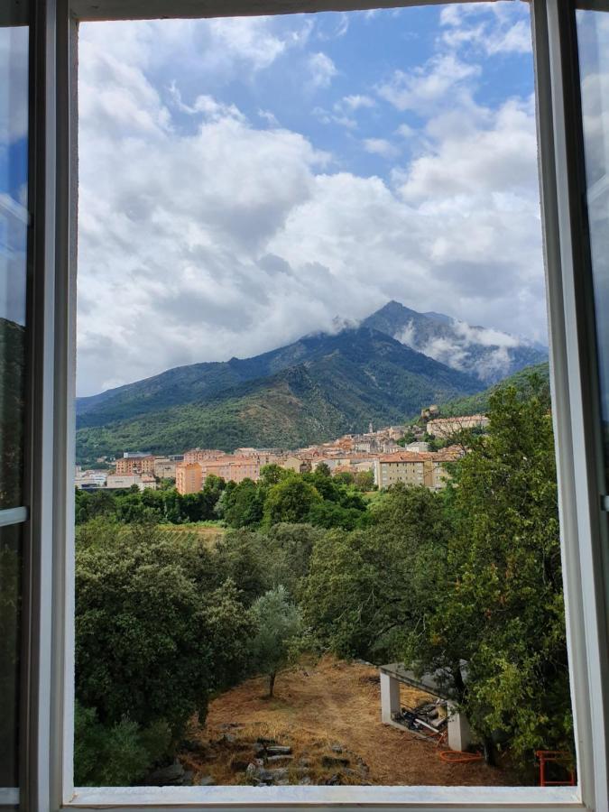 Suite Mountain View