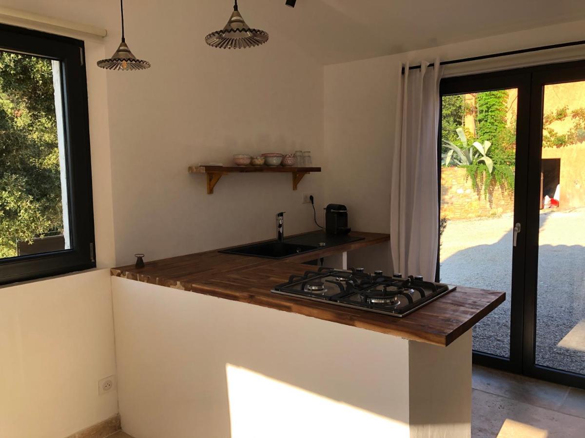 Studio Terrace
