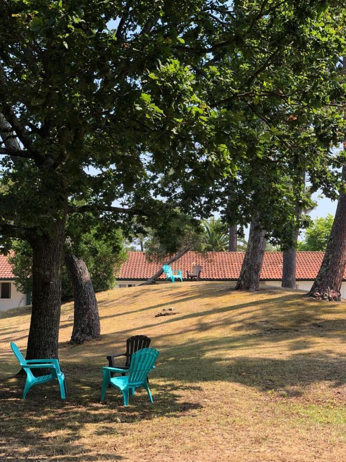 Apartment with Garden View,1309685149:JPEG