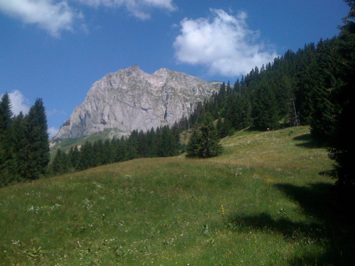 Chalet