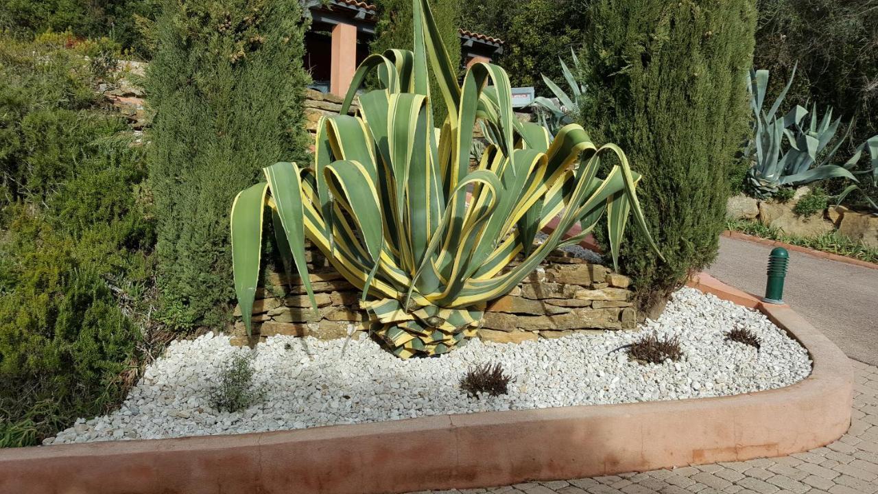 Chambre Double - Vue sur Jardin