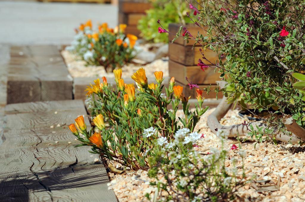 Budget Double Room,1592048895:JPEG