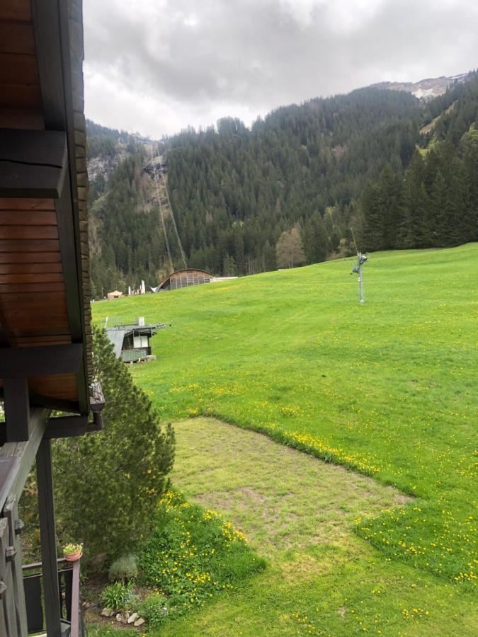 Triple Room Garden View