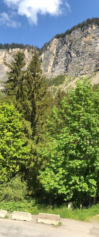 Triple Room Mountain View