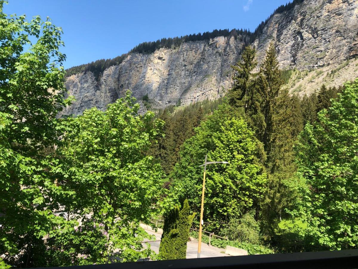 Triple Room Mountain View