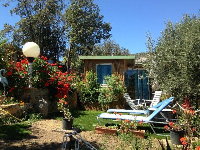 One-Bedroom Chalet