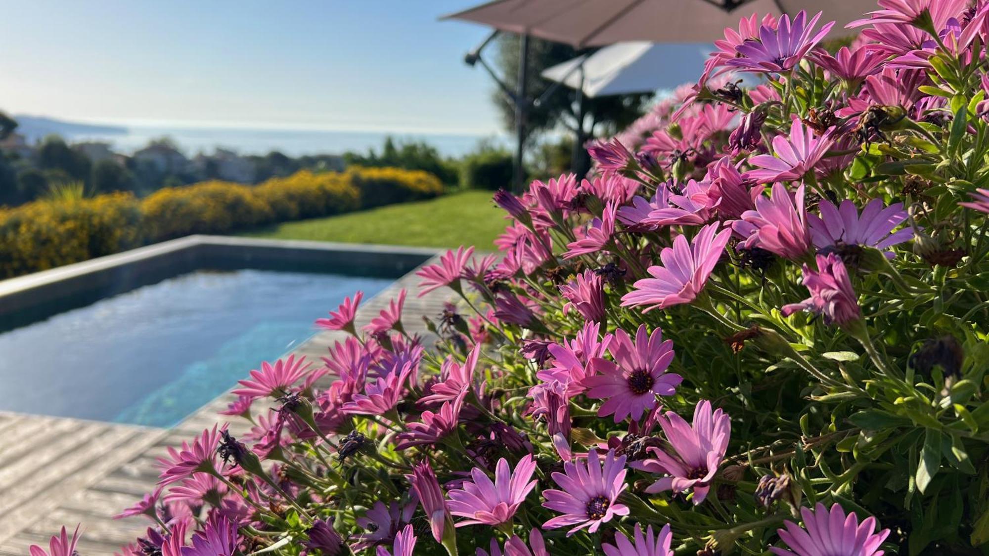 Villa Sea View