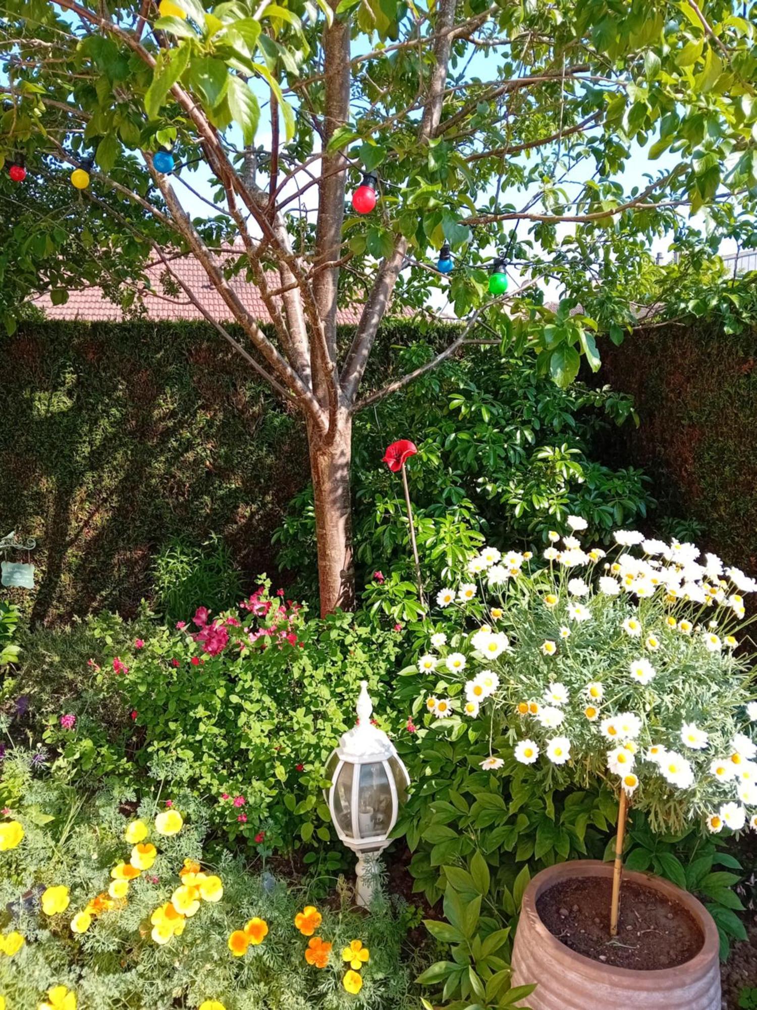 Double Room Terrace