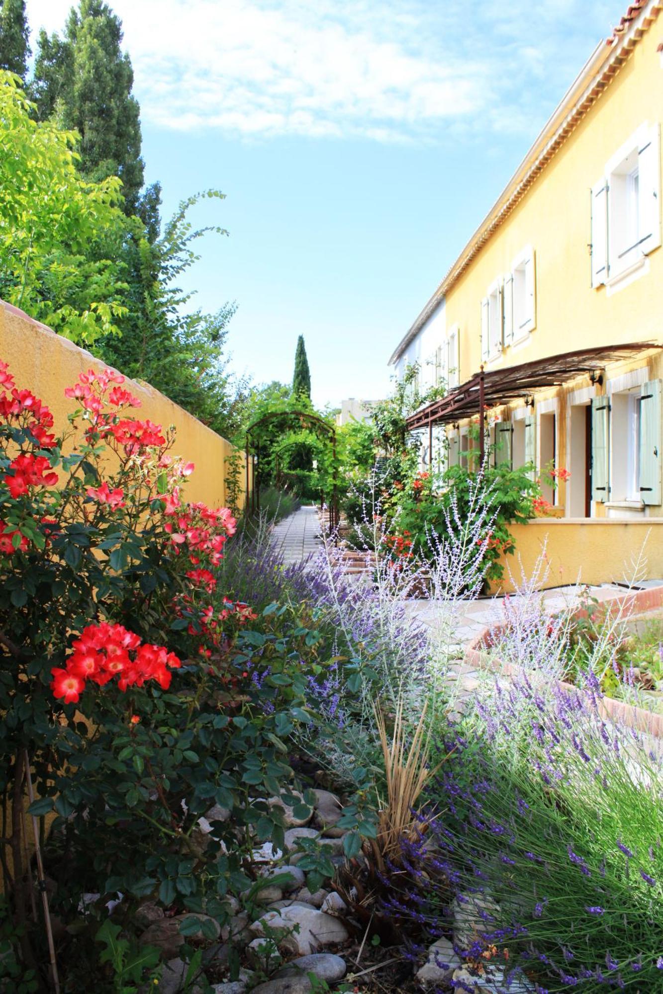 Studio Terrace