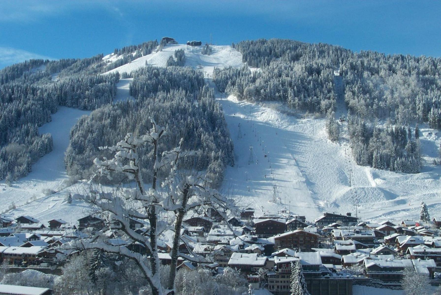 Cosy Single Room Mountain View
