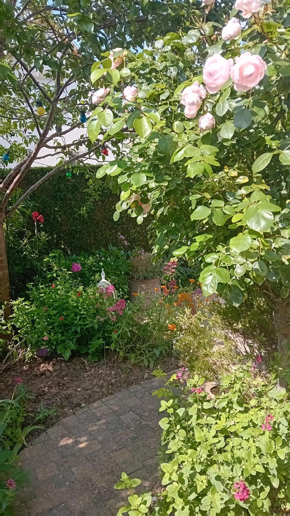 Double Room Terrace