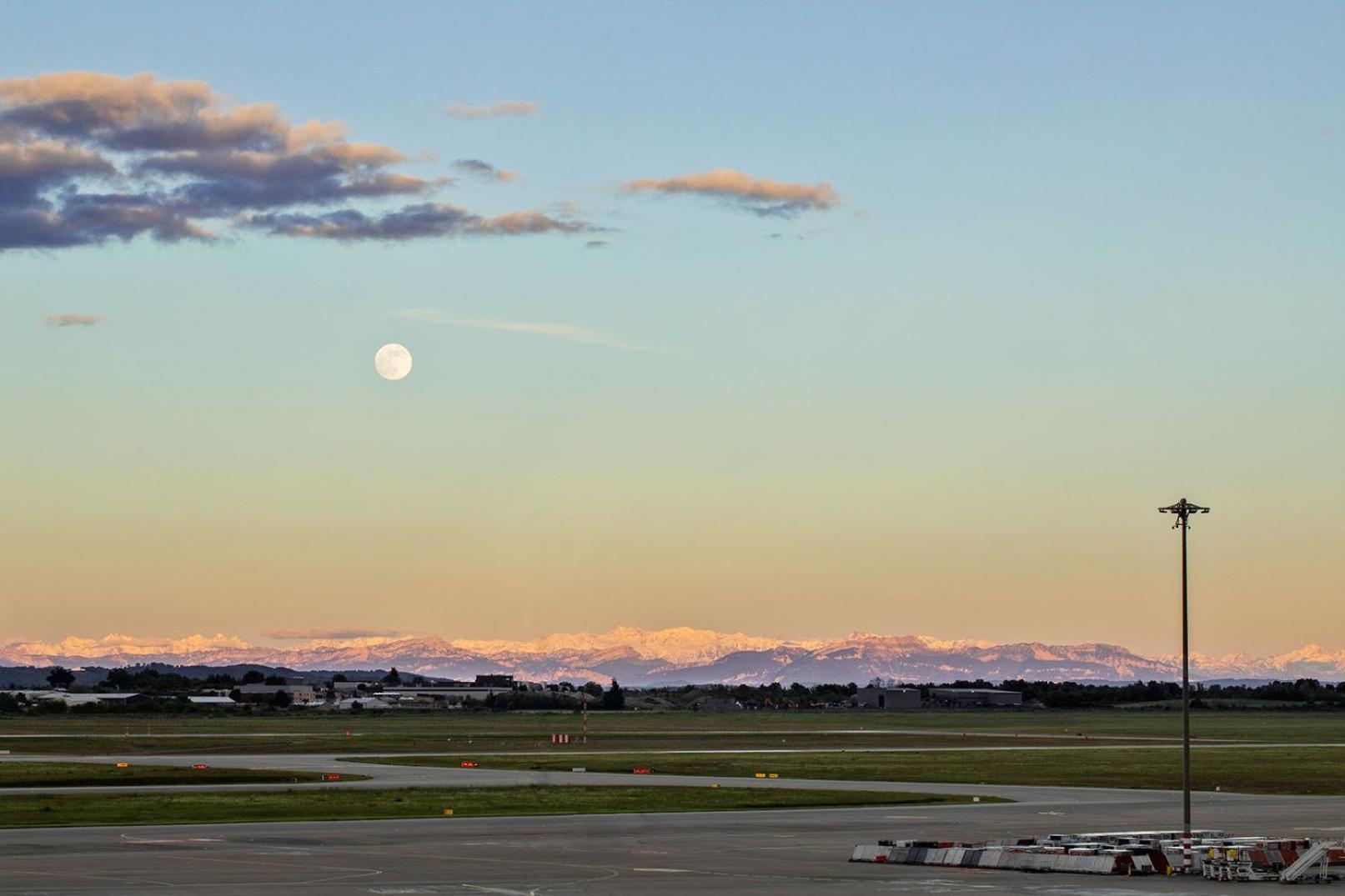 Moxy Queen Room with Runway View