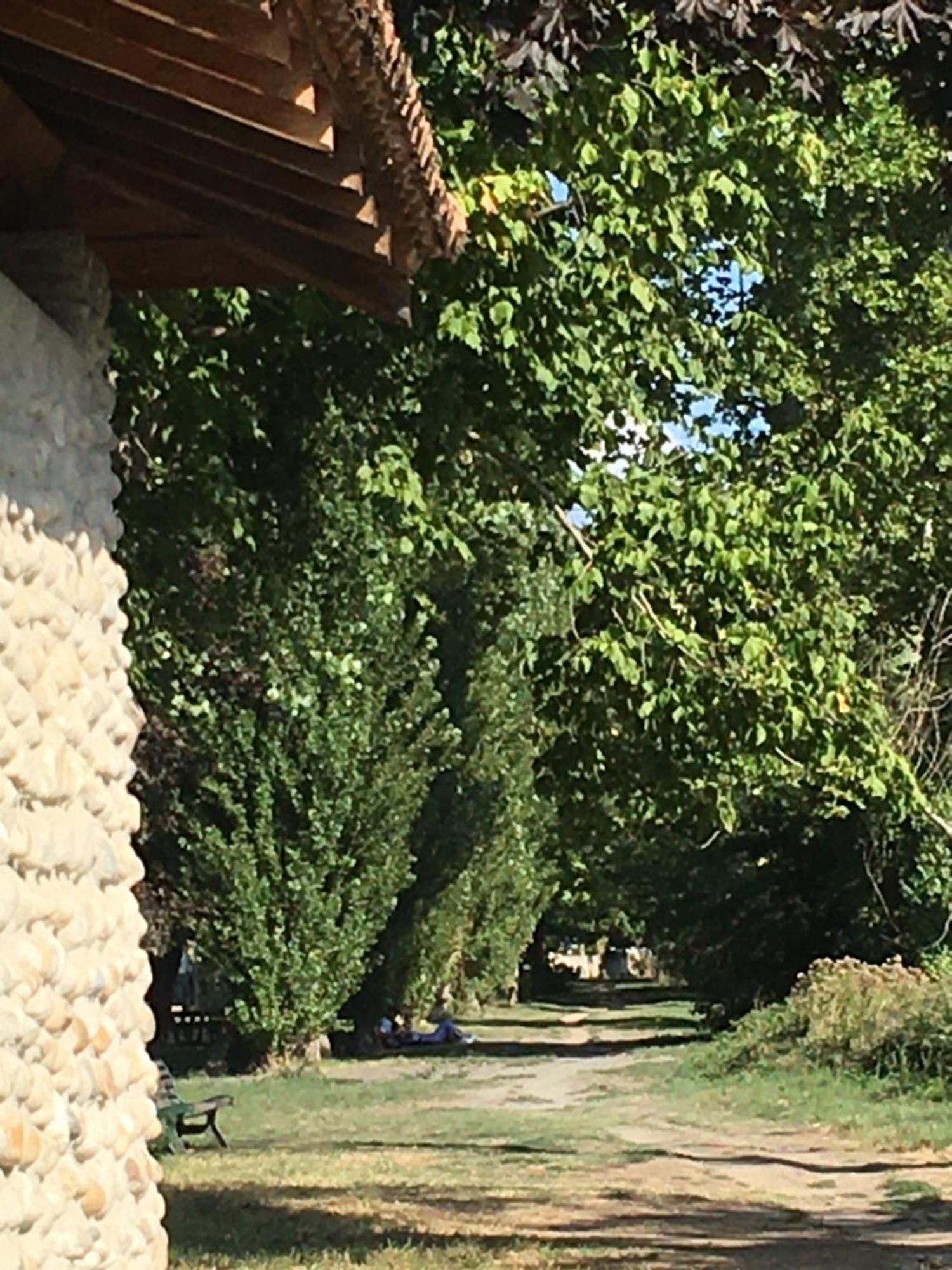 Maisonette