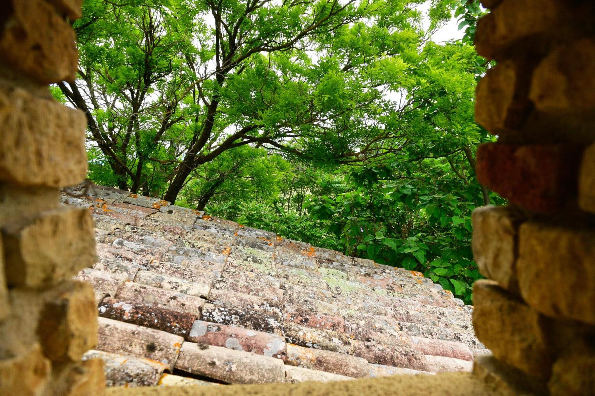 Queen Room Garden View