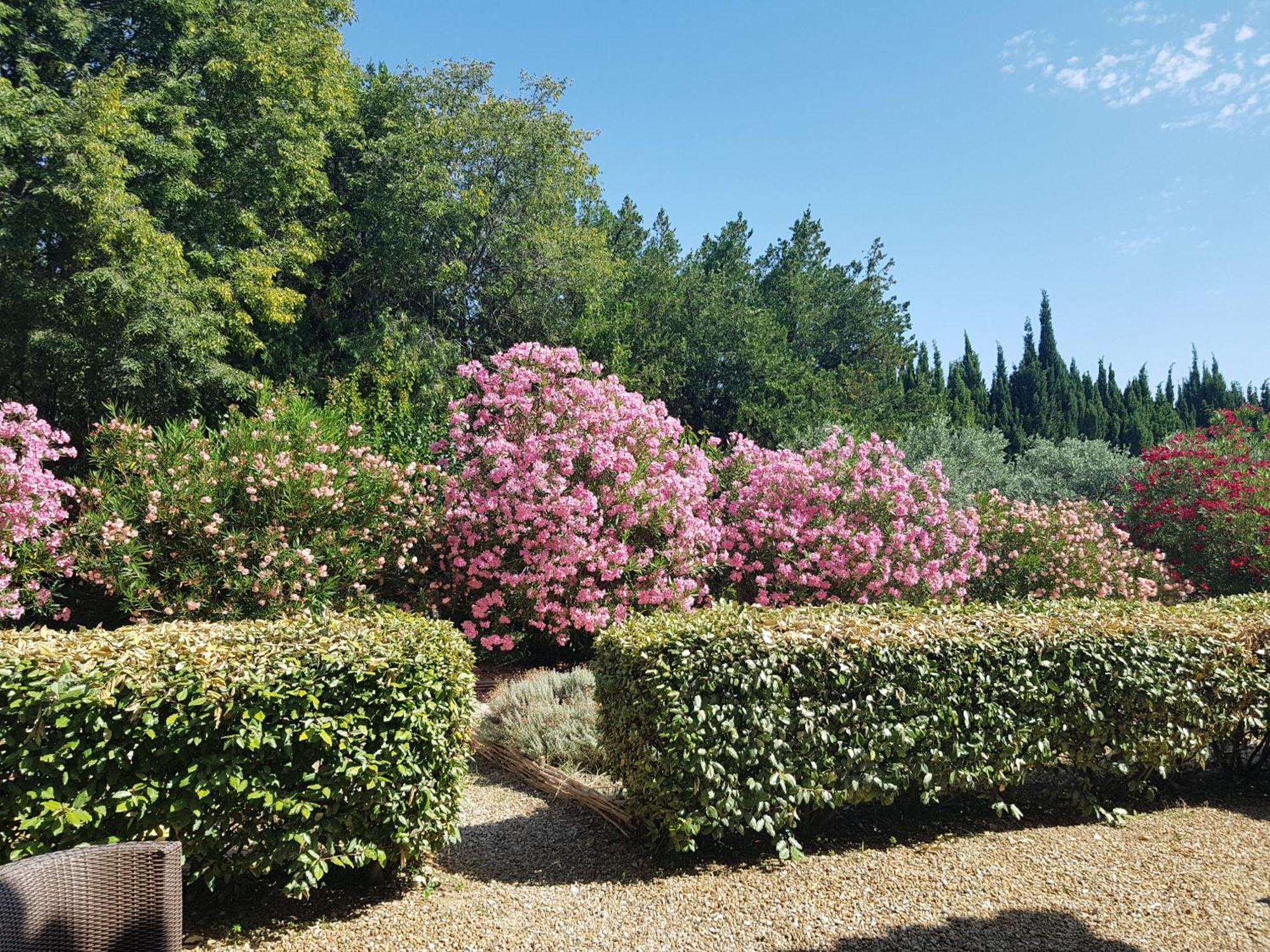 Double Room Terrace