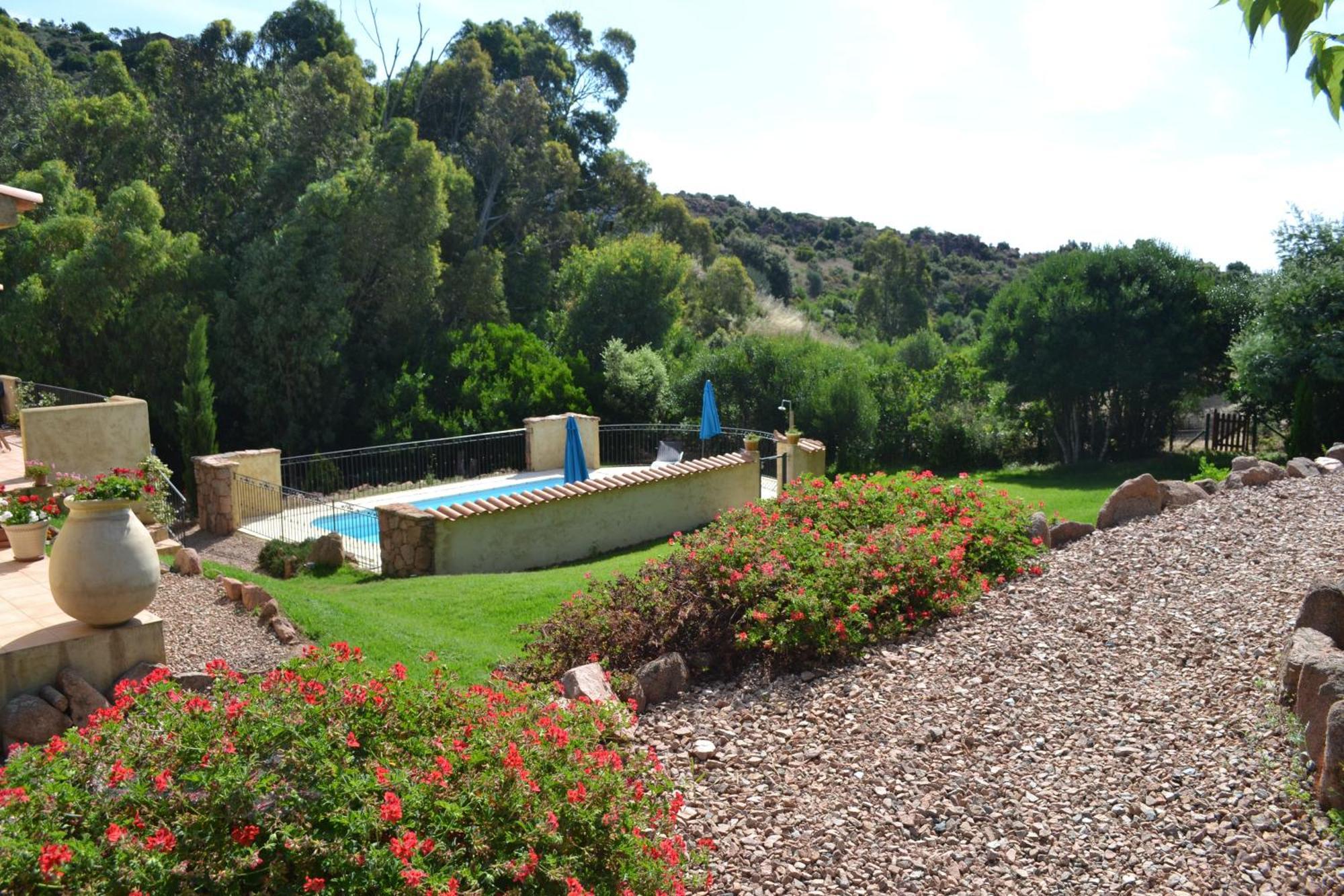 Studio Pool View,1639624580:JPEG