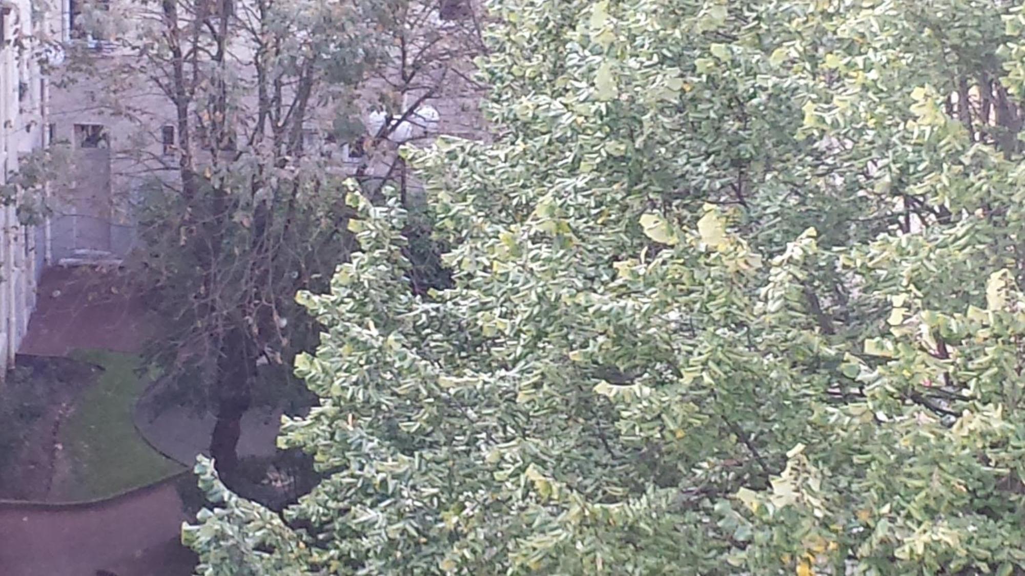 Twin Room Garden View
