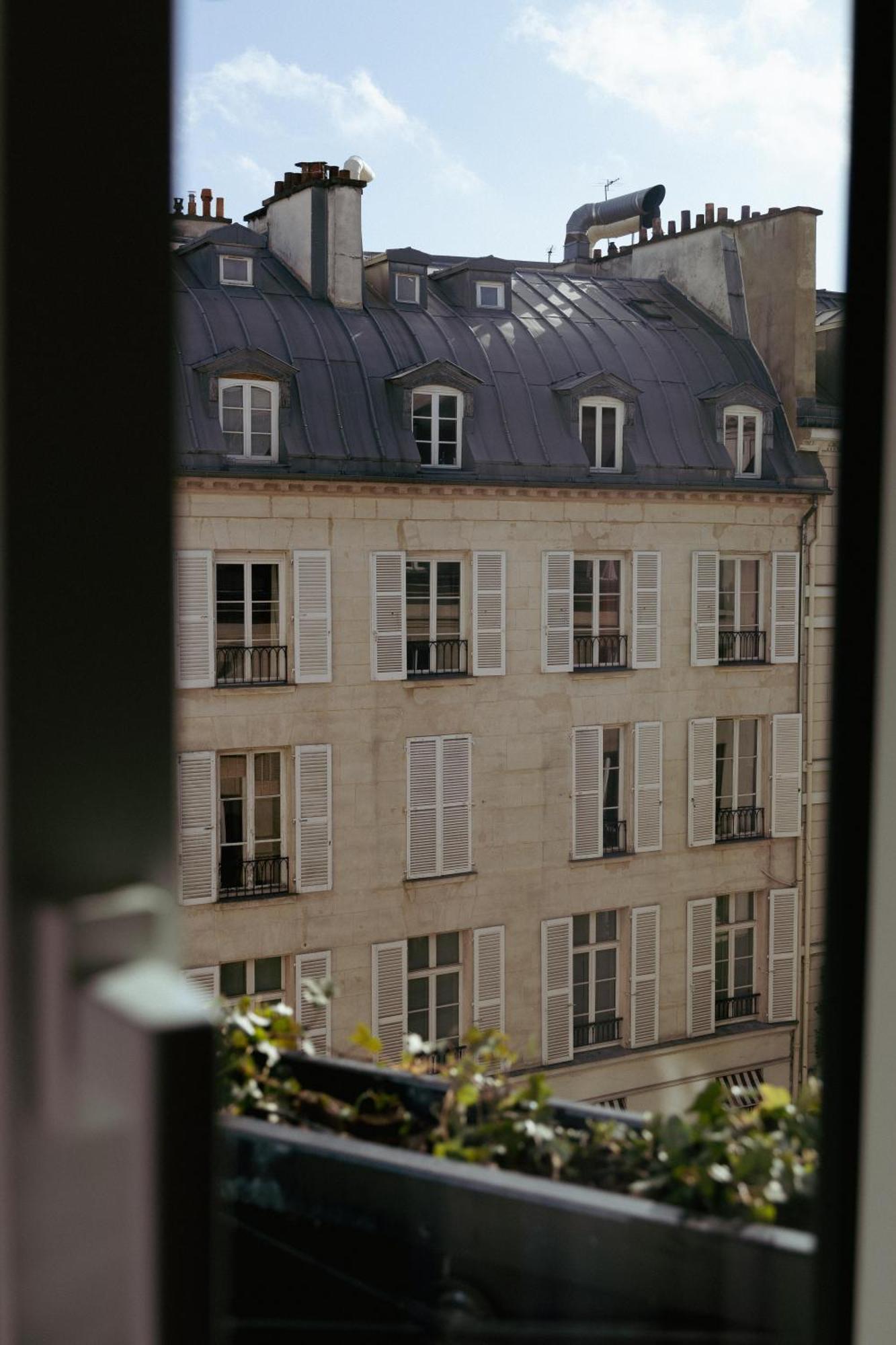 Suite Júnior