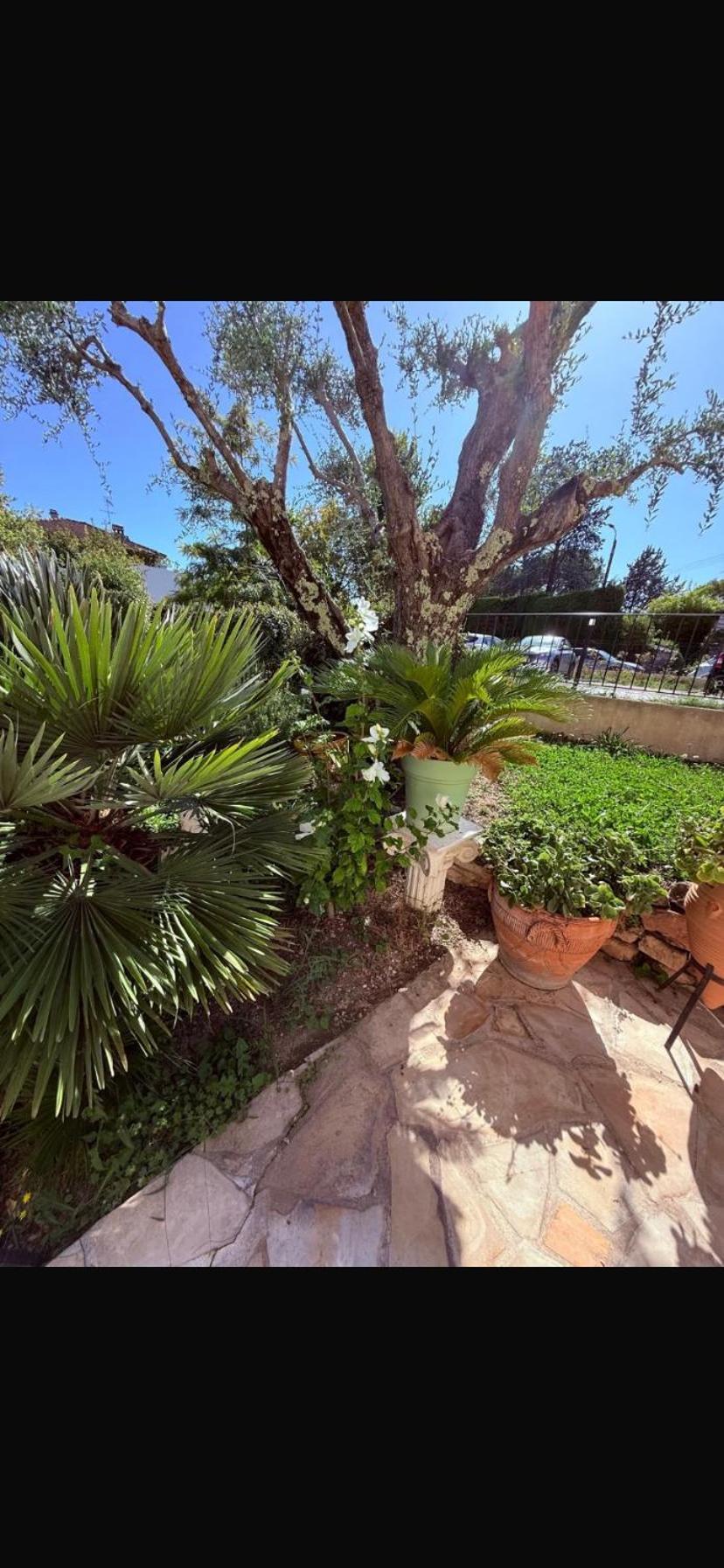 Studio Garden View