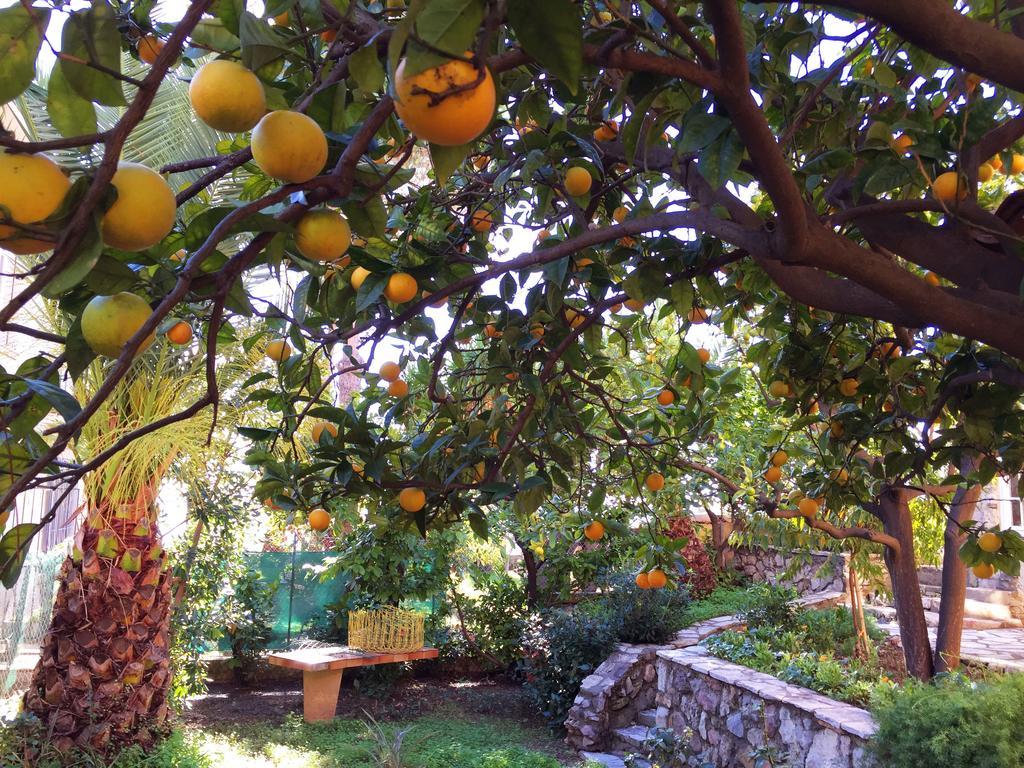 Budget Twin Room with Shared Bathroom,211317626:JPEG