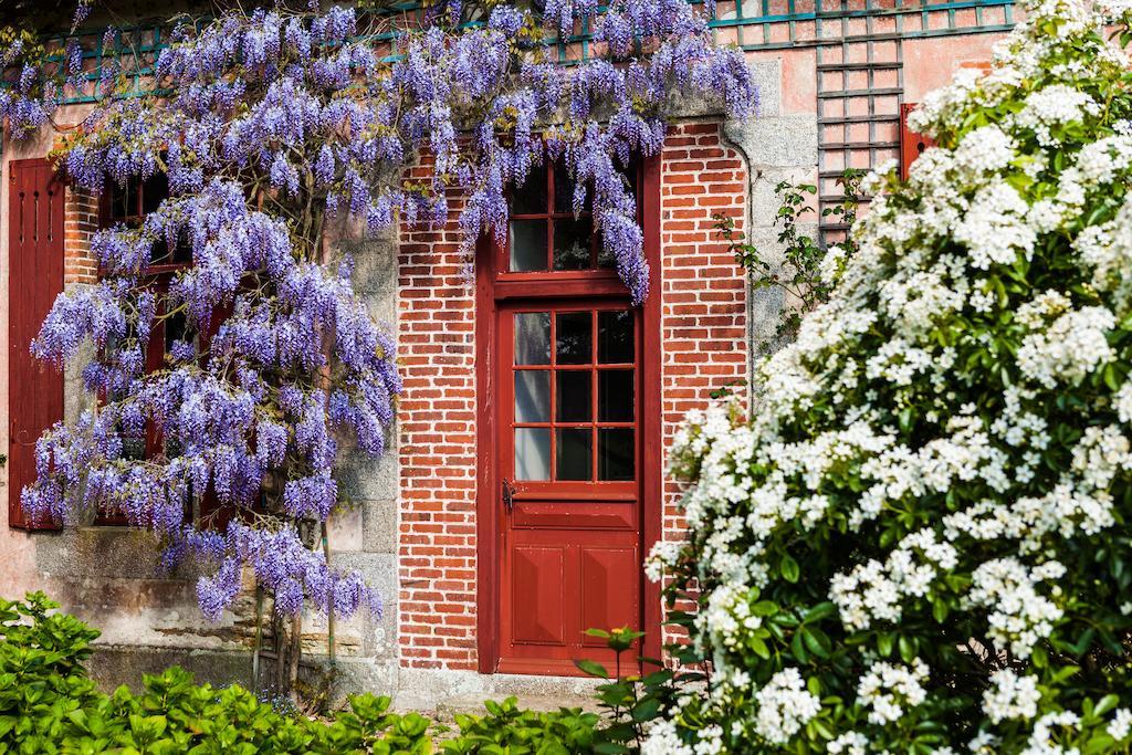 Romantic Confort Double Room with Bath,231980752:JPEG