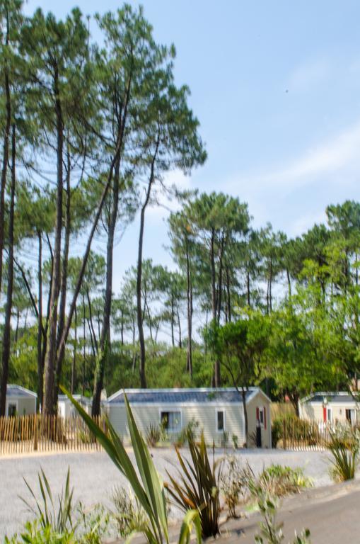 One-Bedroom Mobile Home,262963445:JPEG