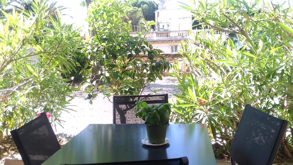 Apartment Terrace