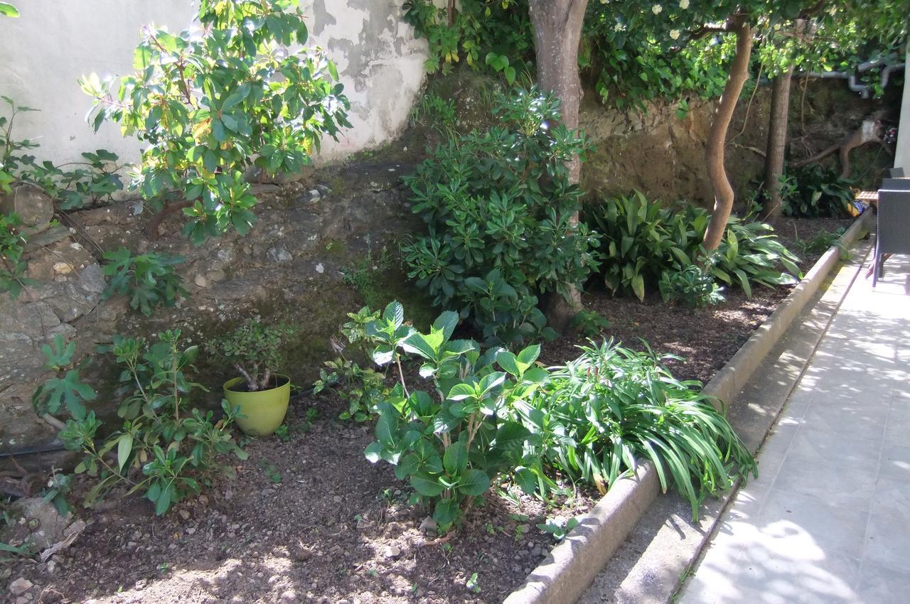 Standard Twin Room Garden View,613994395:JPEG