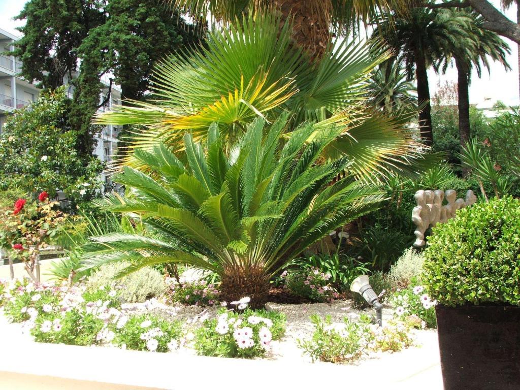 Junior Suite with Balcony,397005144:JPEG