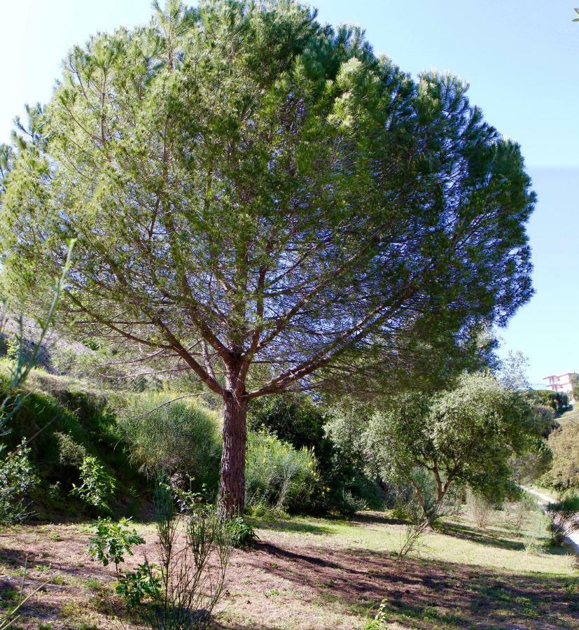 Villa Sea View