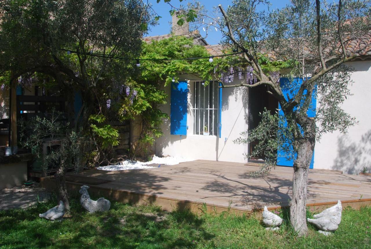 Studio Garden View