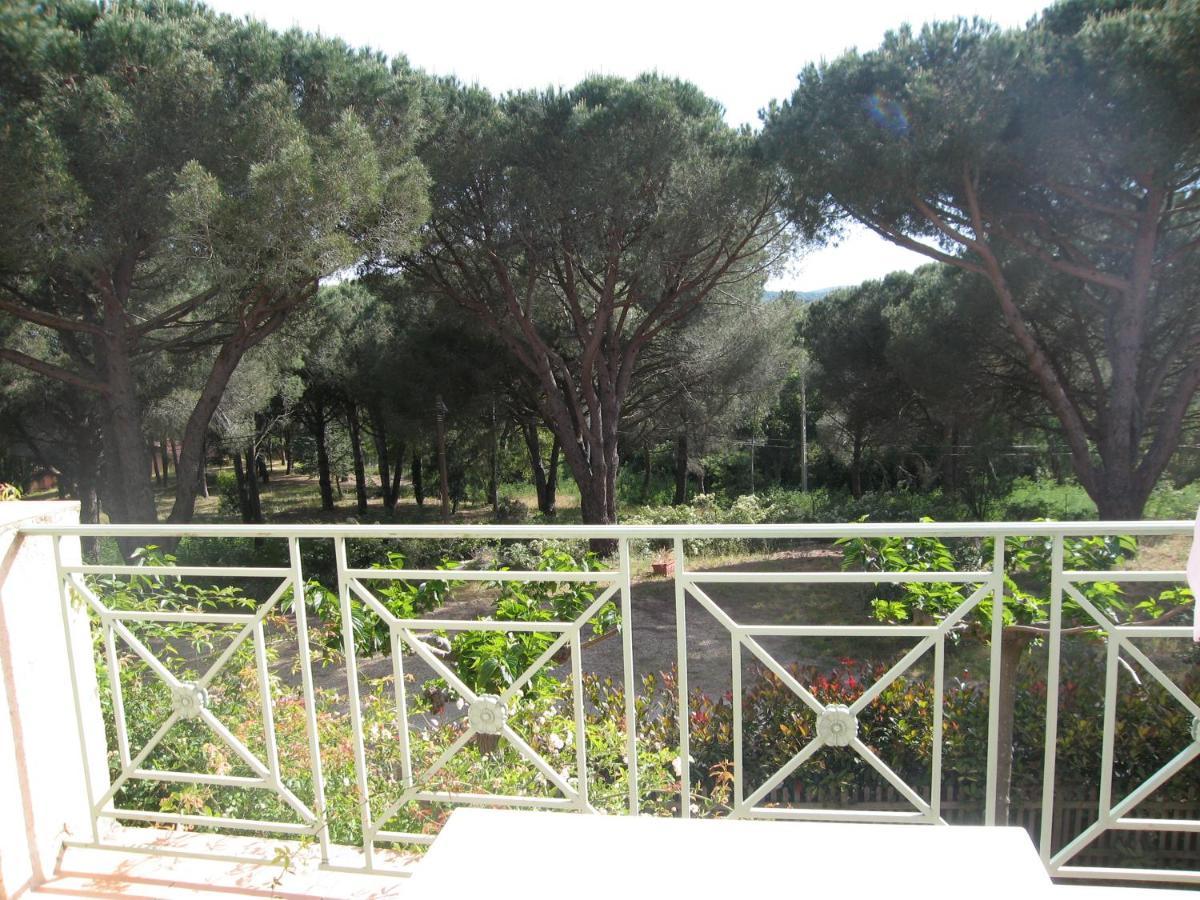 Double Room with Garden View,1550449870:JPEG
