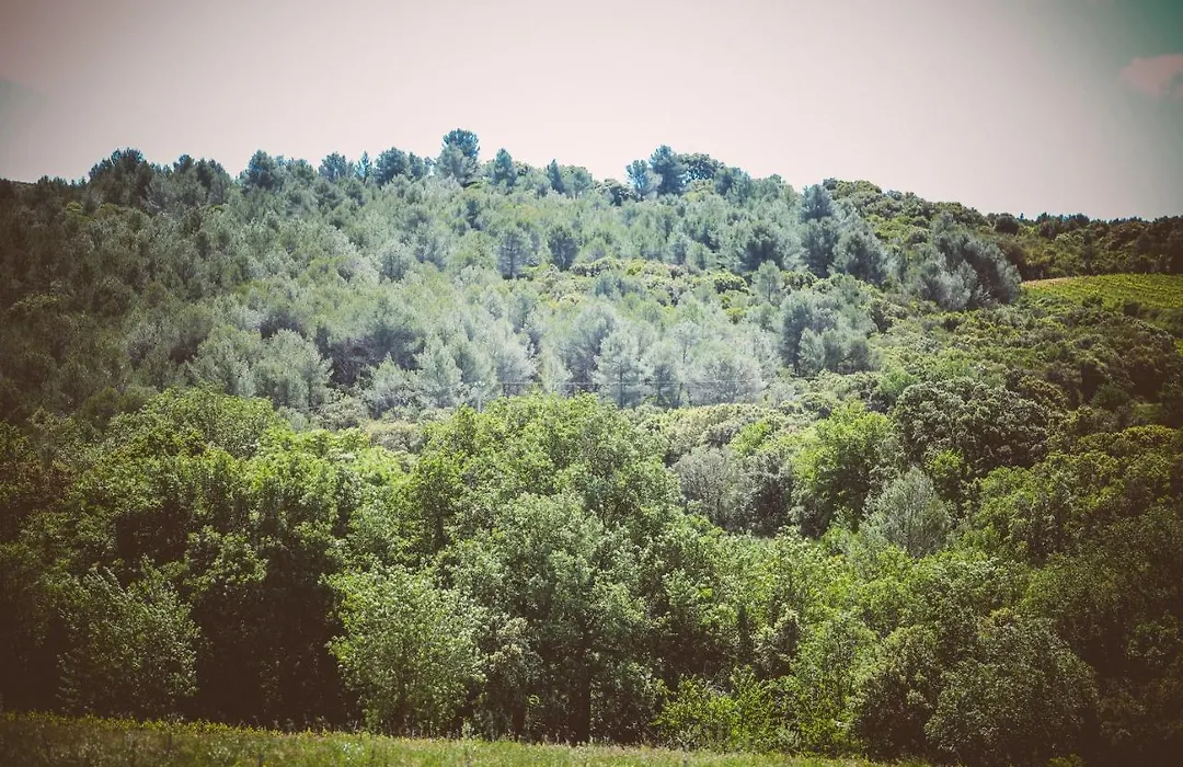 Domaine De Salente-1
