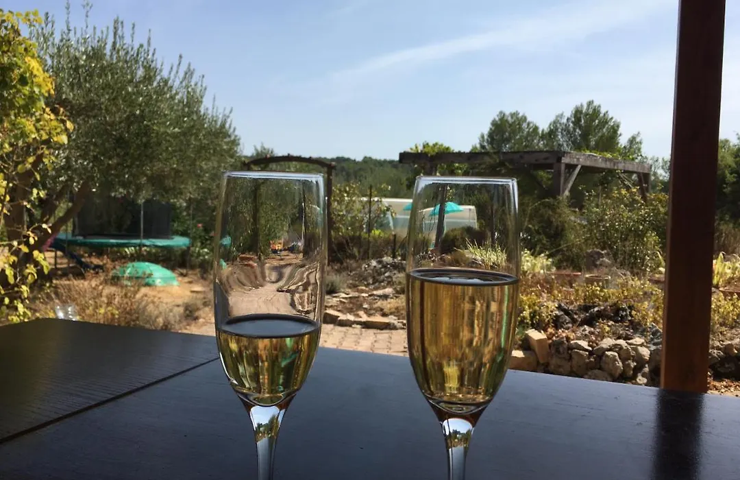 Le Petit Paradis - La Provencale-1