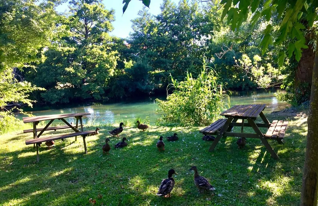 Mas Le Pont des Aubes-1
