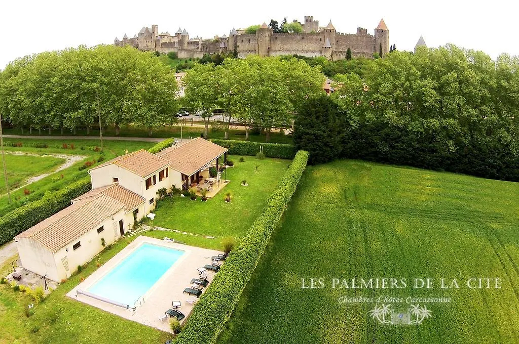 Chambres d'hôtes Les Palmiers de la Cité-1