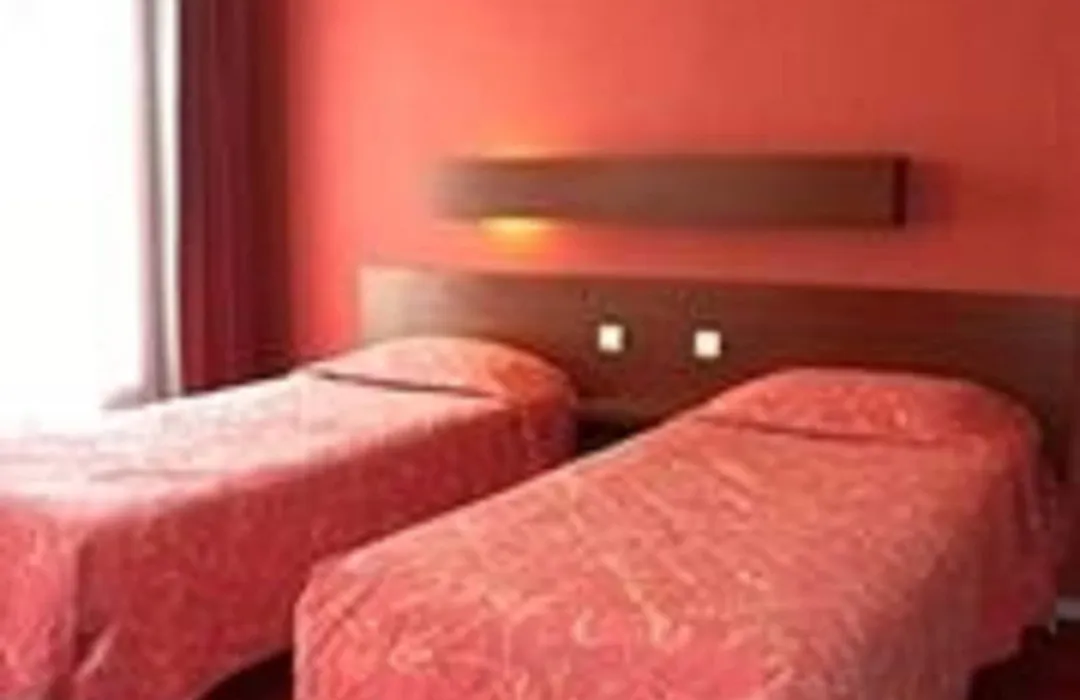 Camelia International-1