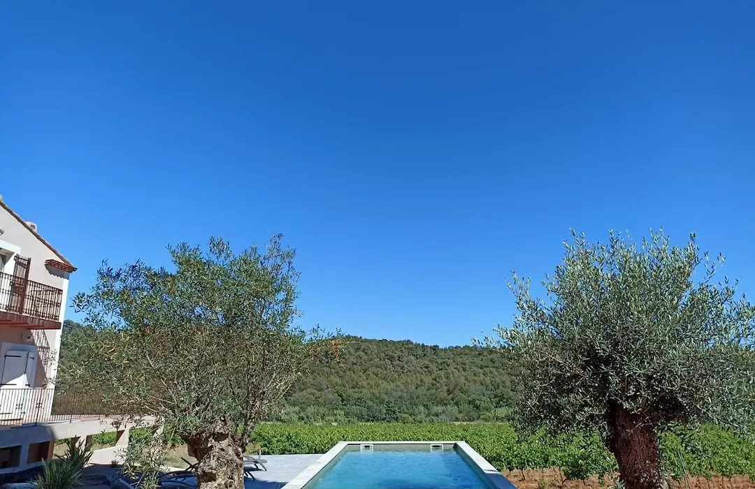 Sous Les Pins gîtes et chambres d'hôtes-1