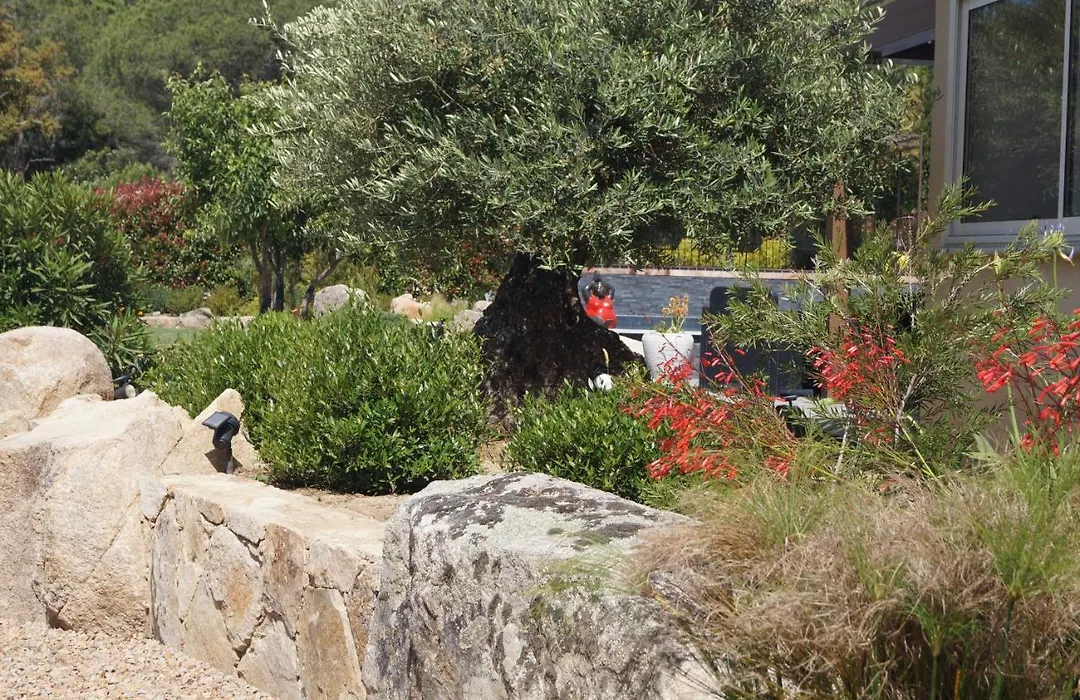 Les Jardins De Santa Giulia - Charmante Chambre Dhte-1