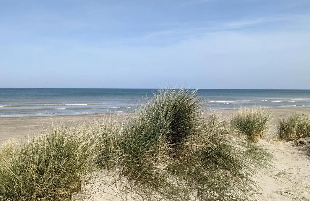 Rêve Bleu-1