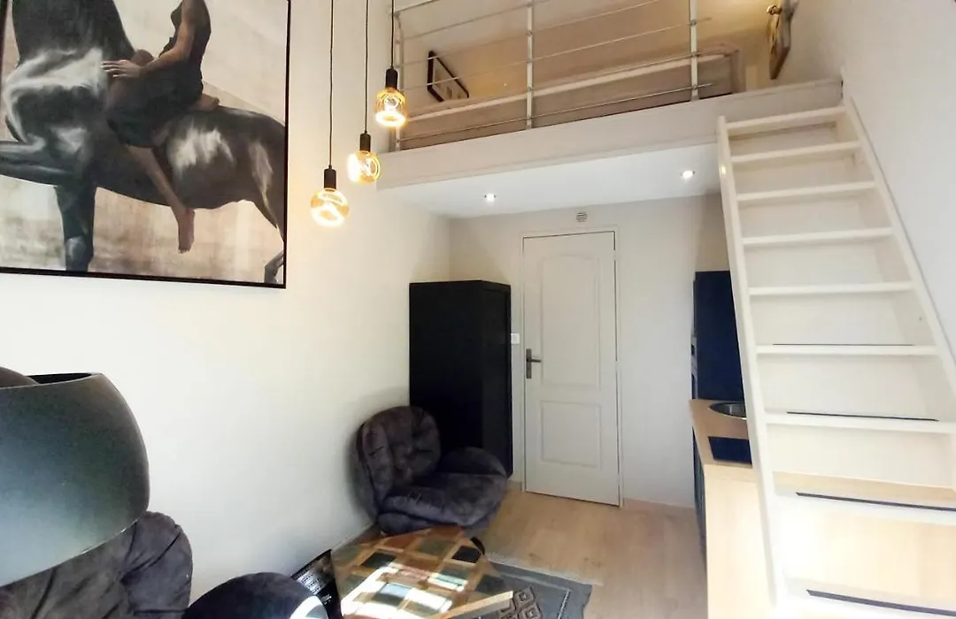 Studio Avec Mezzanine-1