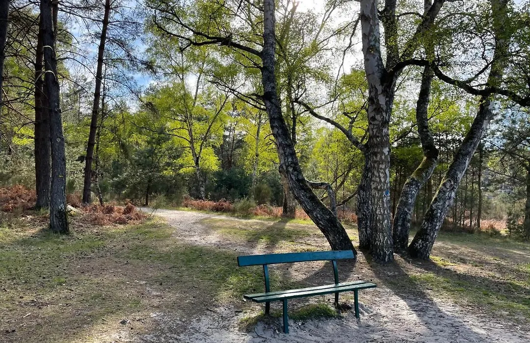 La Bastide De Barbizon-1