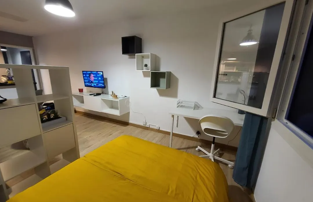 Magnifique Studio 26M2-1