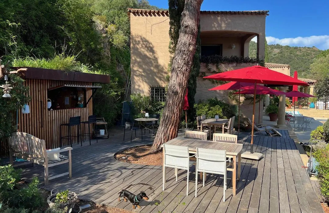 Villa Thalassa Art' B&B-1