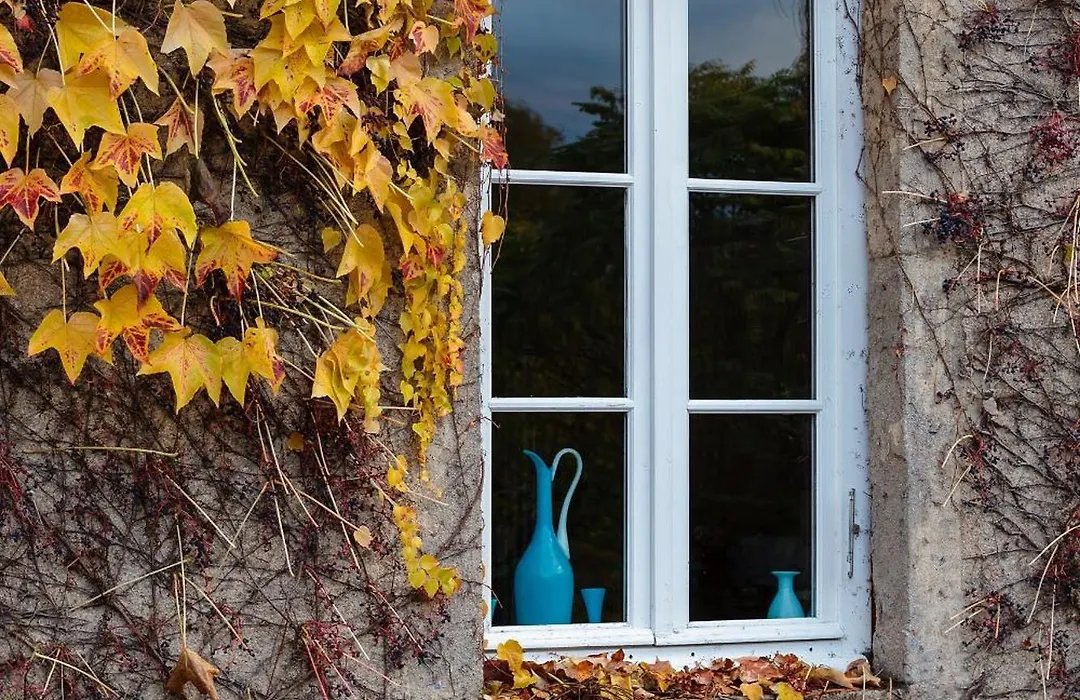 Moulin Renaudiots - Escapade Luxe Refuge cosy&Bourgogne au coin du feu-1