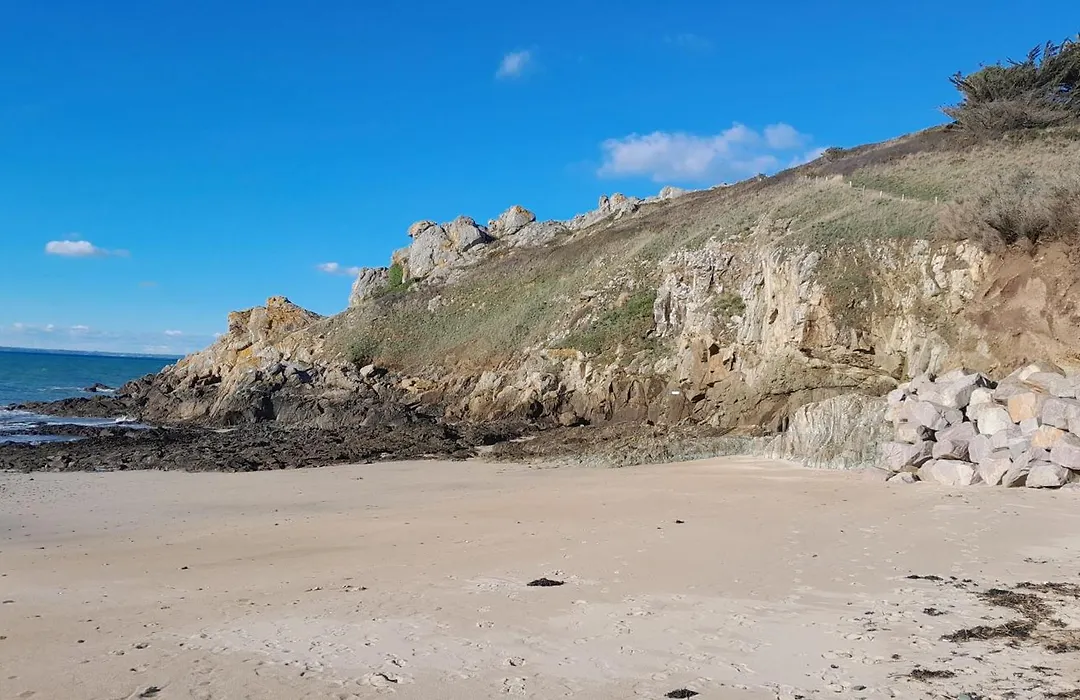 L'Agapanthe-1