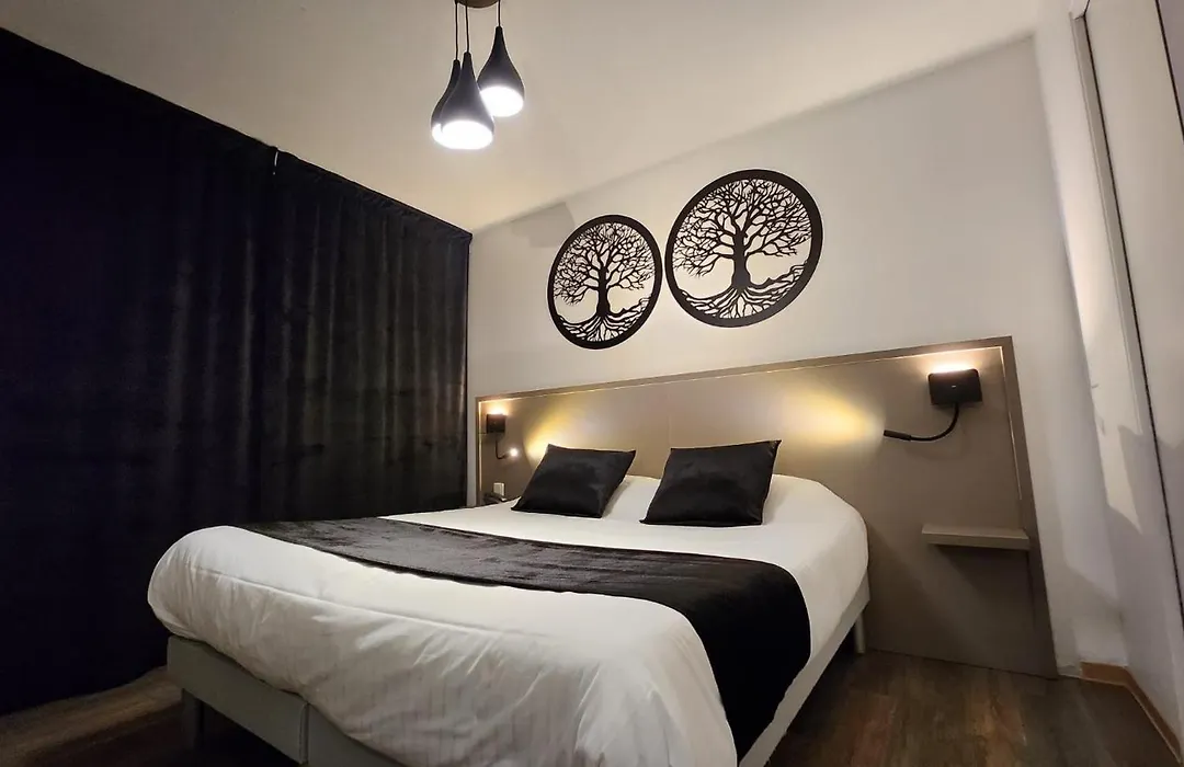 Cit'Hotel Le Cheval Blanc-1
