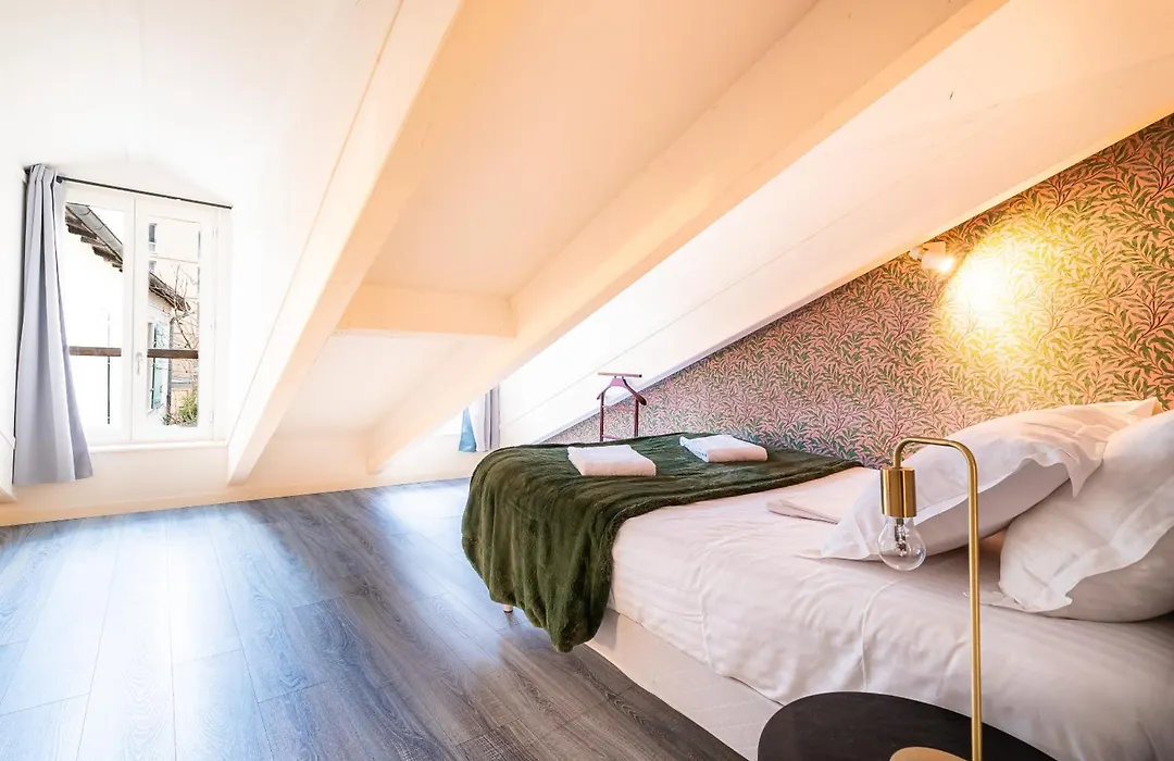 Mon Appart'Hotel - Gare De Limoges - Duplex 2 Chambres - Parking En Supp-1