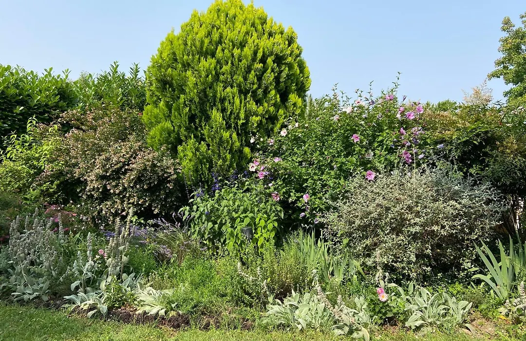 Sweet Home - 55M2 Appartment, Garden, Swimming Pool, Parking-1