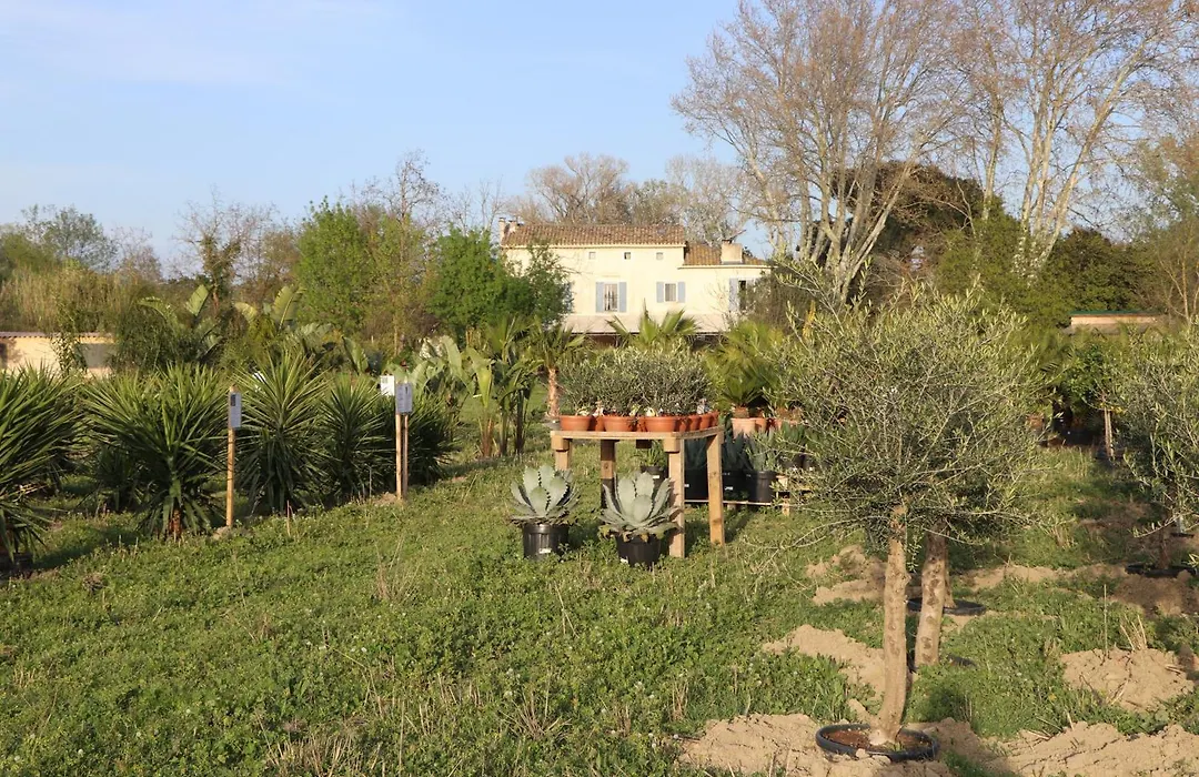 Le Mas Des Cerisiers Jacuzzi Et Sauna Inclus Pour Tous Les Logements-1